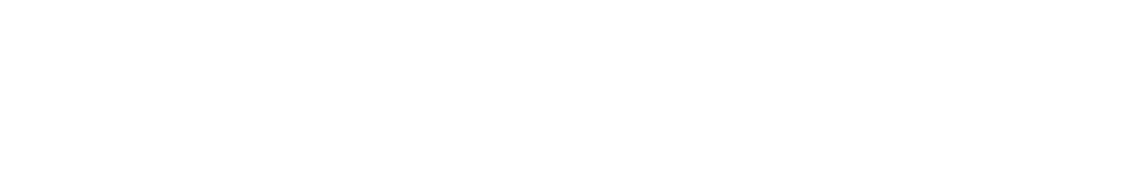 paceph-test.site